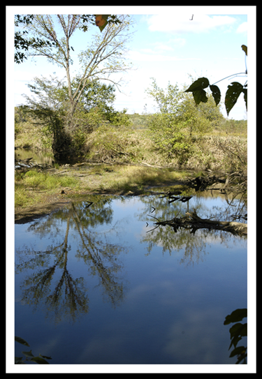 Lamoine River Pool bordering the Fink Field Laboratory